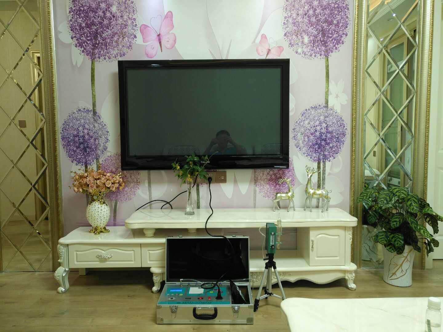 武漢市嘉凈鴻環(huán)?？萍加邢薰? style=