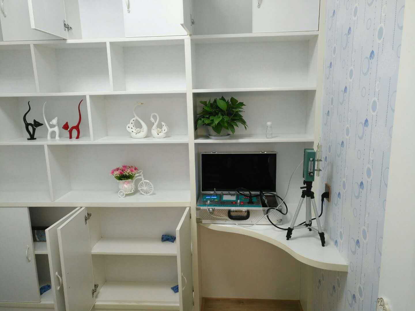 武漢市嘉凈鴻環(huán)?？萍加邢薰? style=