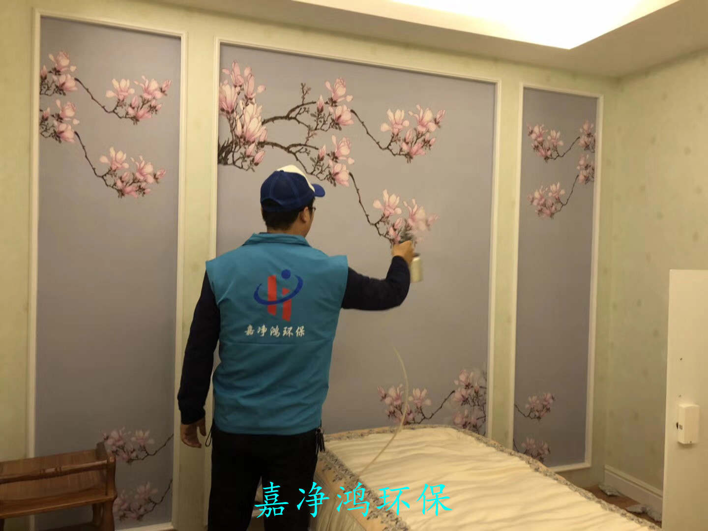 武漢市嘉凈鴻環(huán)?？萍加邢薰? style=