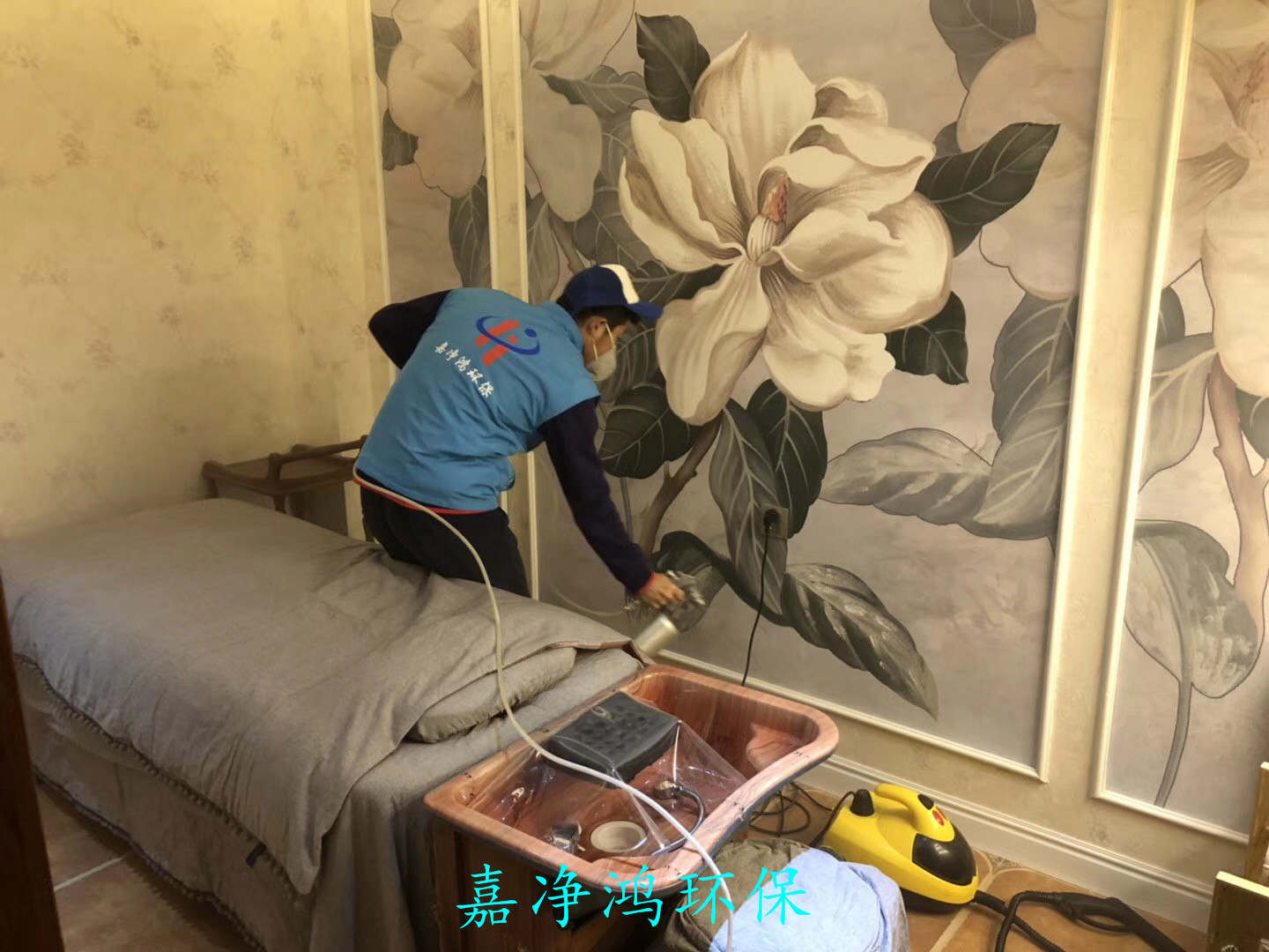 武漢市嘉凈鴻環(huán)?？萍加邢薰? style=