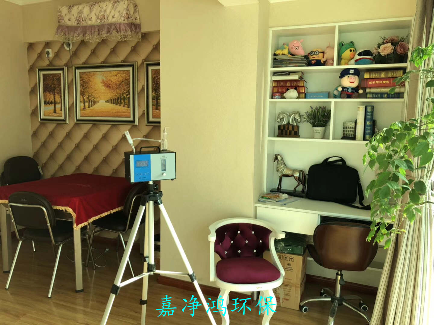 武漢市嘉凈鴻環(huán)?？萍加邢薰? style=