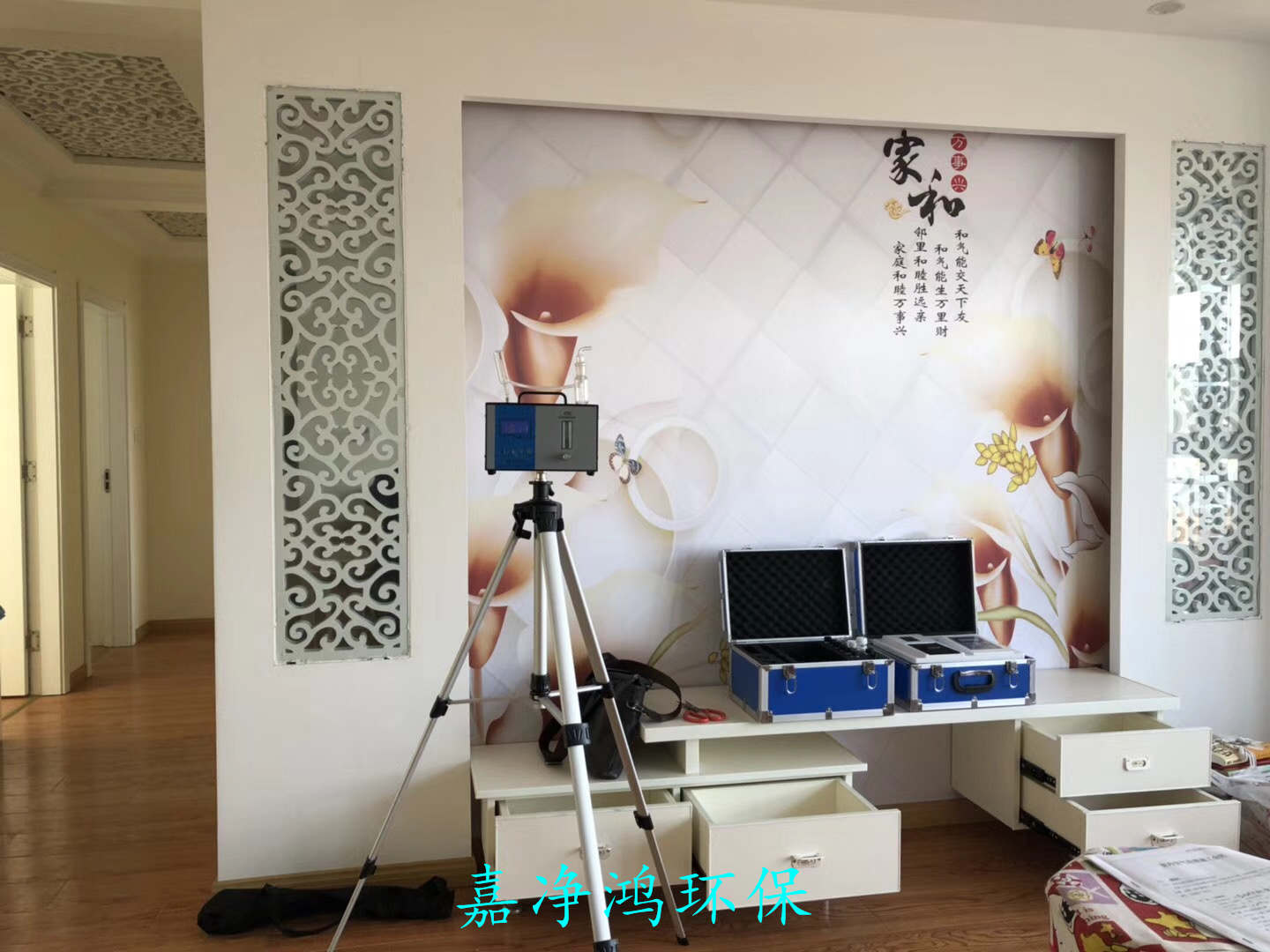 武漢市嘉凈鴻環(huán)?？萍加邢薰? style=