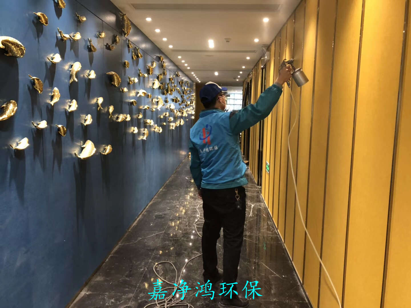 武漢市嘉凈鴻環(huán)?？萍加邢薰? style=