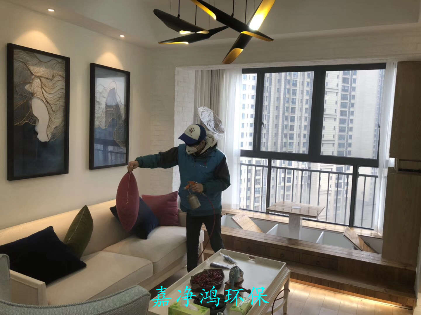 武漢市嘉凈鴻環(huán)?？萍加邢薰? style=