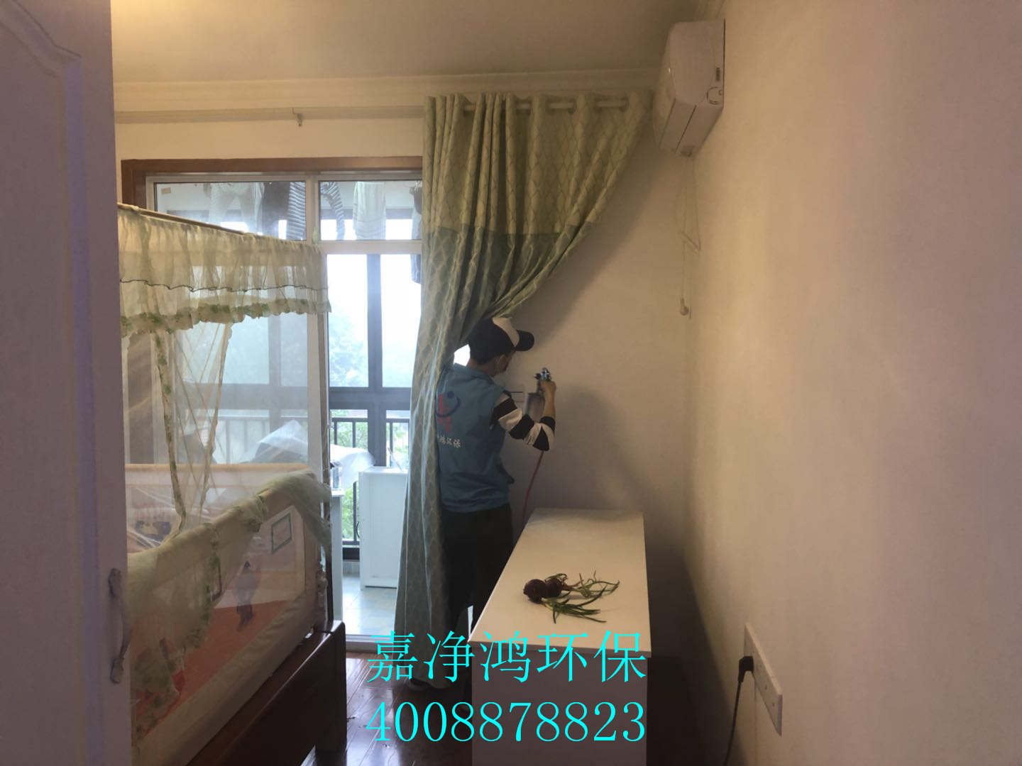 武漢市嘉凈鴻環(huán)?？萍加邢薰? style=