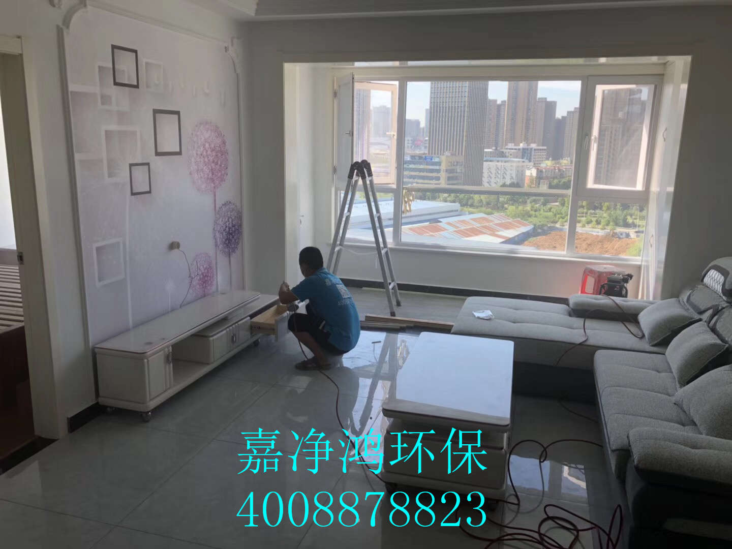 武漢市嘉凈鴻環(huán)?？萍加邢薰? style=