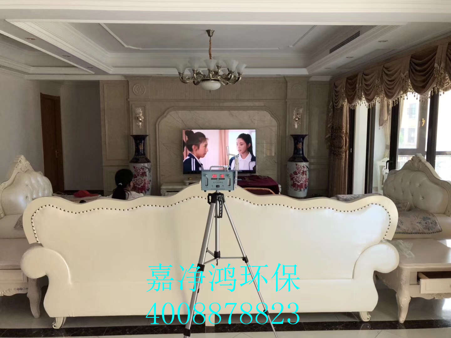 武漢市嘉凈鴻環(huán)?？萍加邢薰? style=