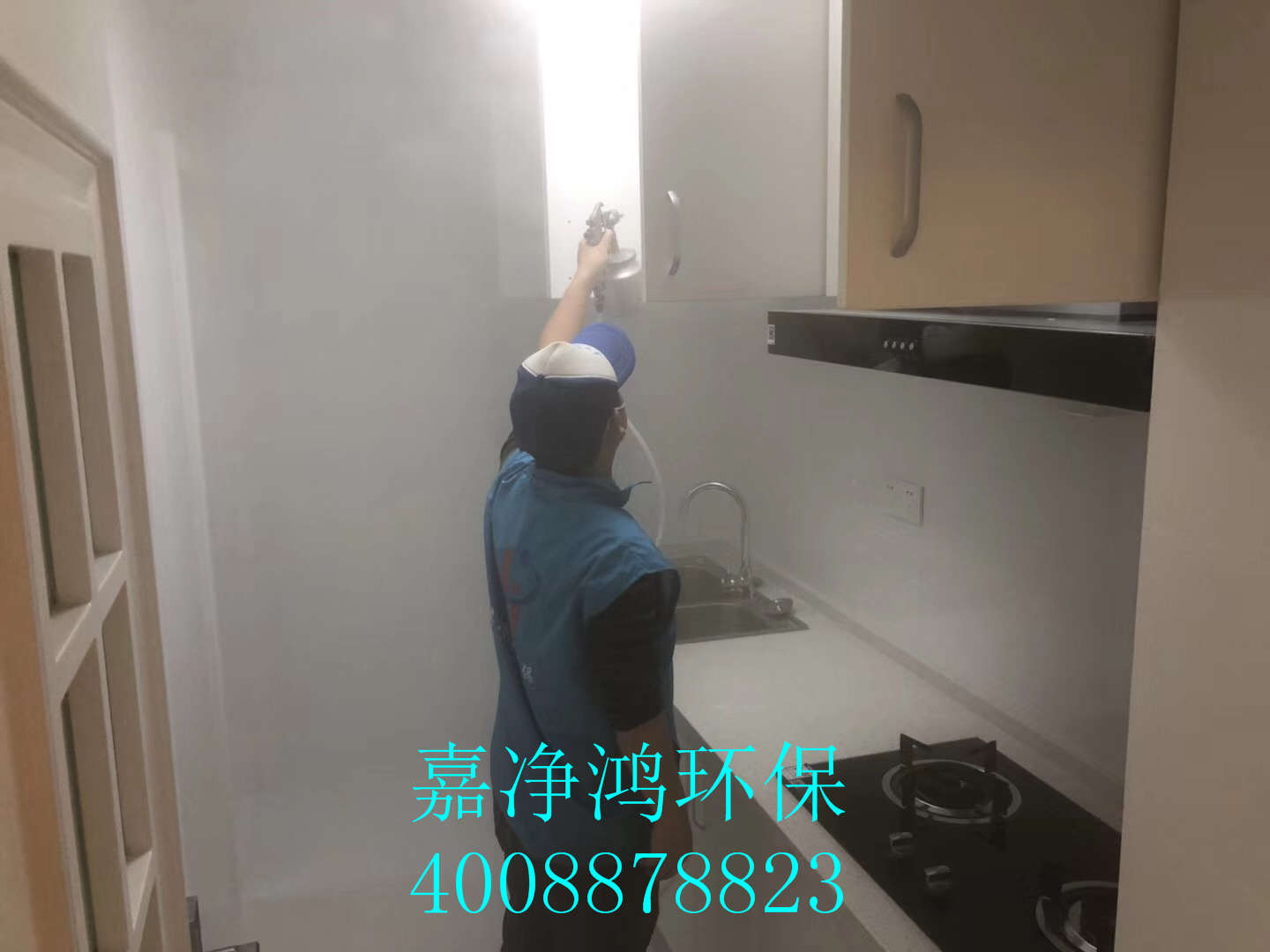 武漢市嘉凈鴻環(huán)?？萍加邢薰? style=