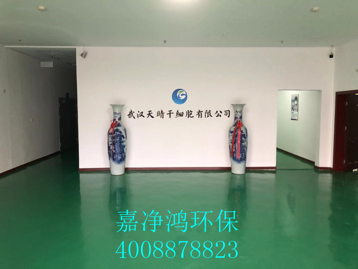 武漢市嘉凈鴻環(huán)?？萍加邢薰? style=